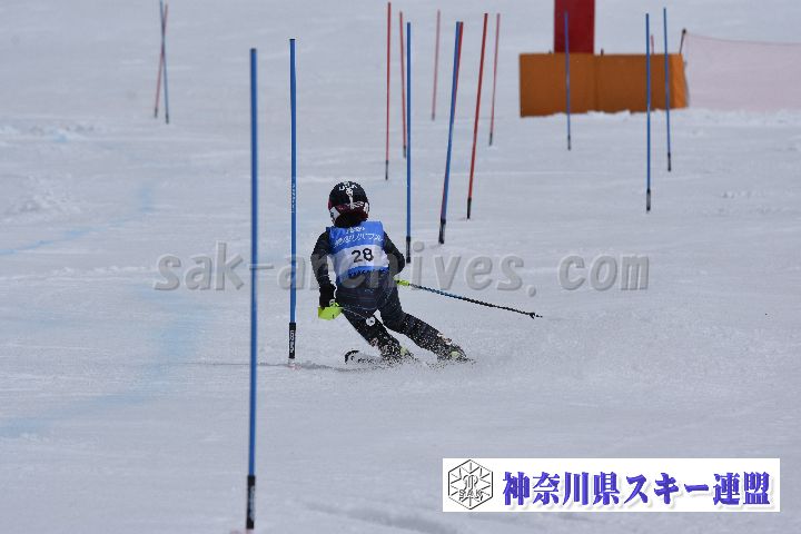 190317_124449_0.jpg
