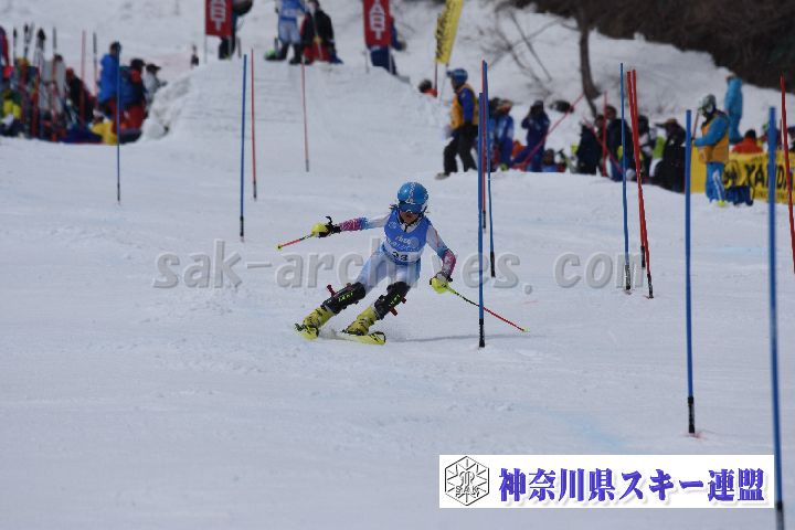 190317_124501_0.jpg