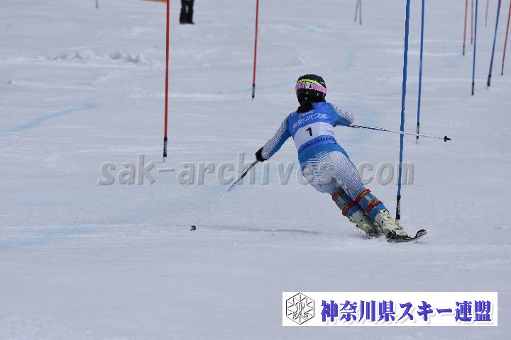 190317_124549_0.jpg