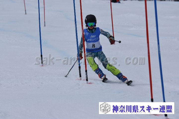 190317_124637_2.jpg