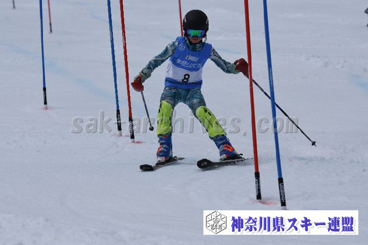 190317_124638_0.jpg