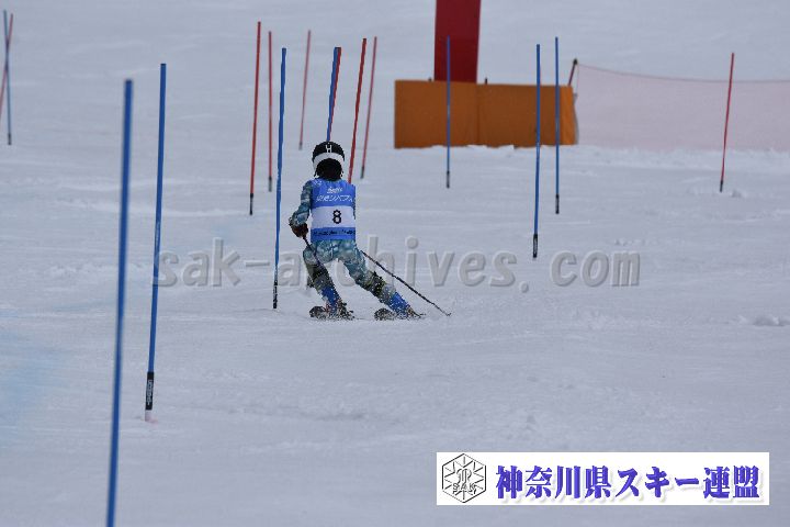190317_124650_2.jpg