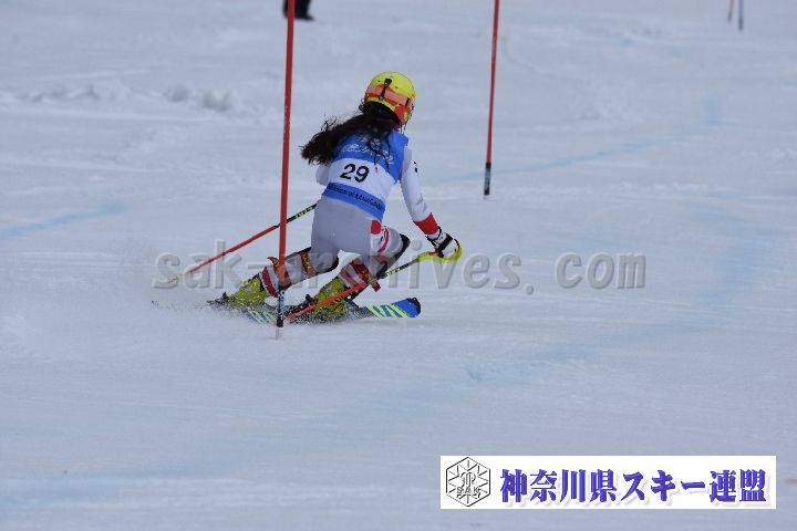 190317_124719_0.jpg