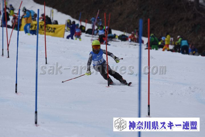 190317_124933_0.jpg