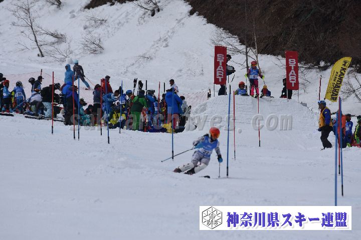 190317_125030_1.jpg