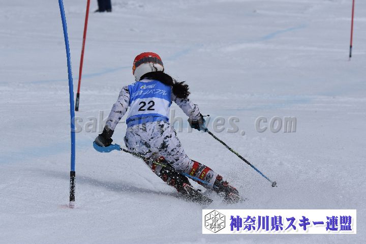 190317_125046_0.jpg