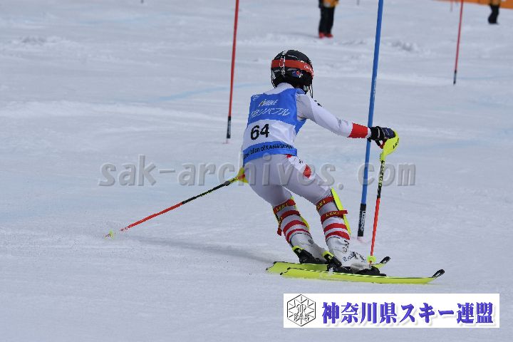 190317_125559_0.jpg