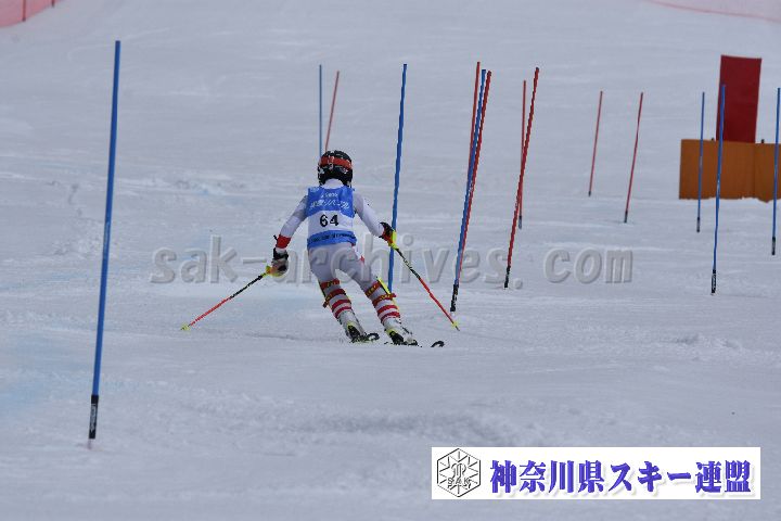 190317_125604_1.jpg