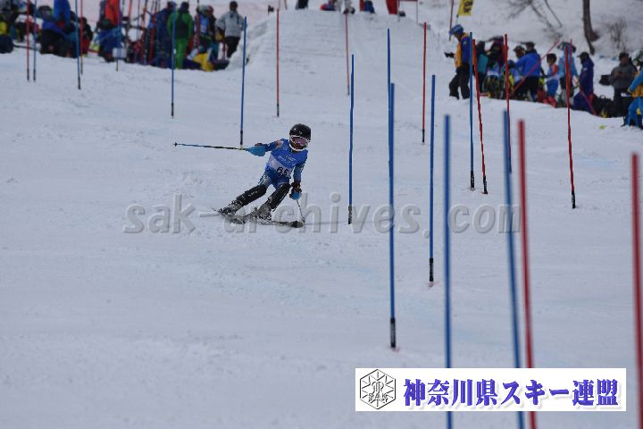 190317_125614_0.jpg