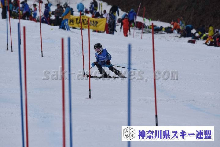 190317_125616_1.jpg