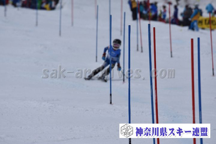 190317_125617_0.jpg