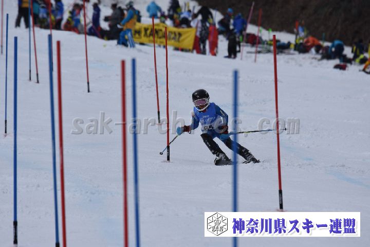 190317_125618_0.jpg
