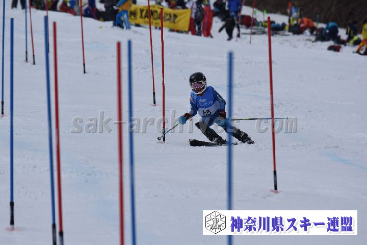 190317_125618_1.jpg