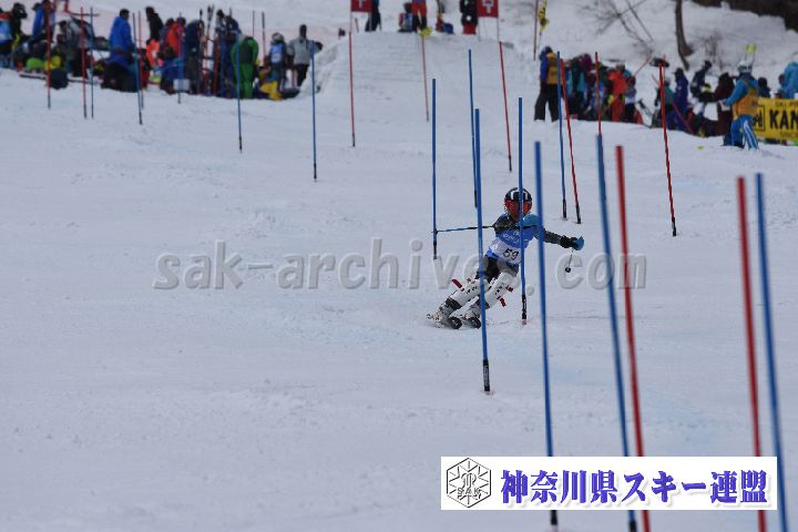 190317_125642_0.jpg