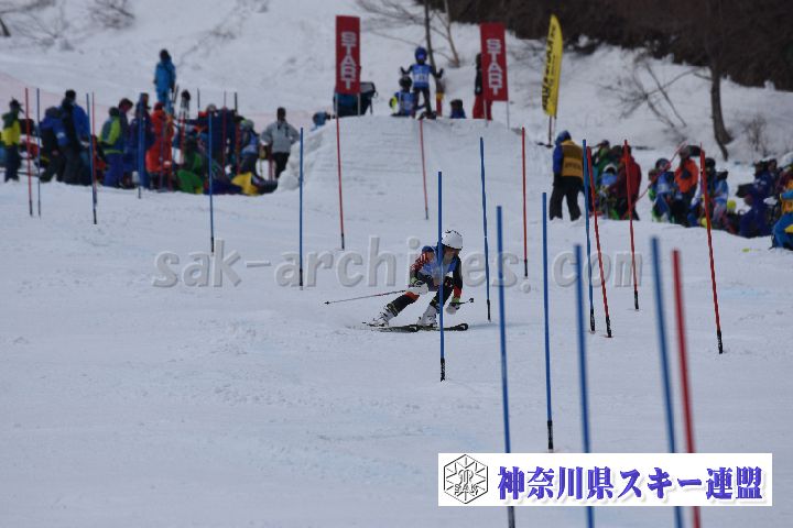 190317_125743_0.jpg