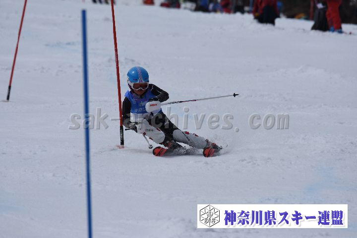 190317_125954_0.jpg