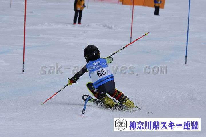 190317_130137_0.jpg