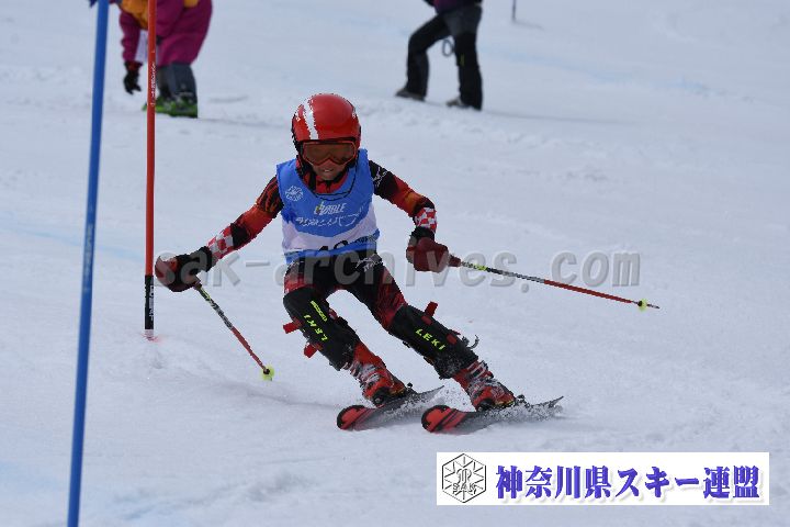 190317_130428_2.jpg