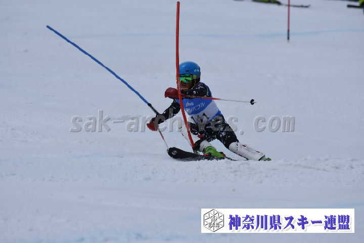 190317_110658_0.jpg