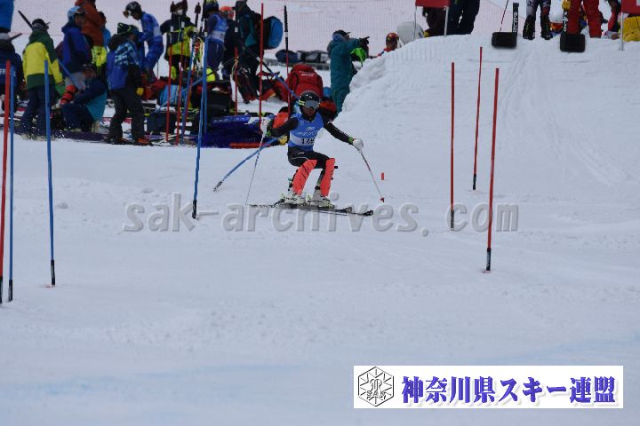190317_111124_1.jpg