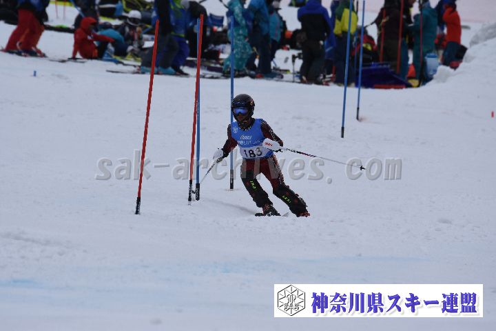 190317_113016_0.jpg