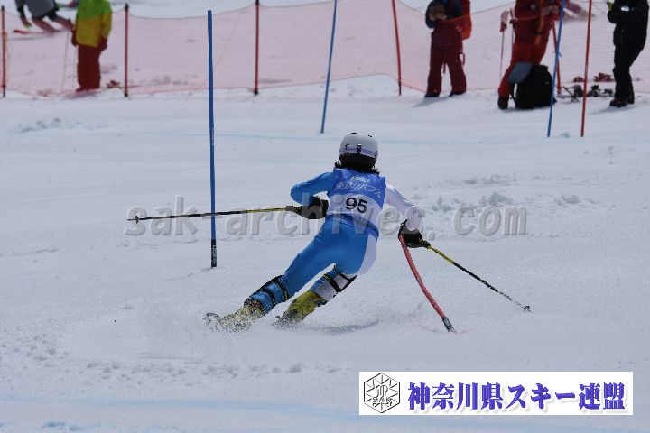 190317_104238_1.jpg