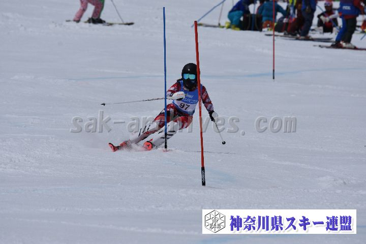 190317_104330_0.jpg