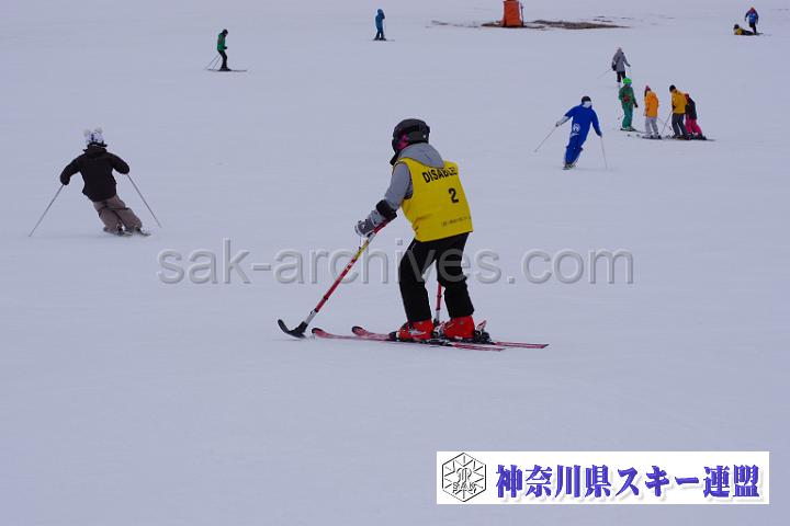190323_111105_0.jpg