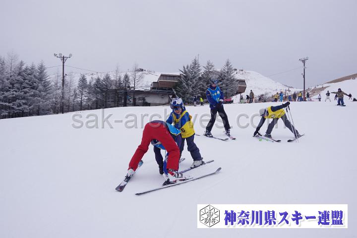 190323_112408_0.jpg