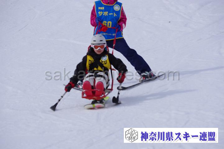190323_142502_0.jpg