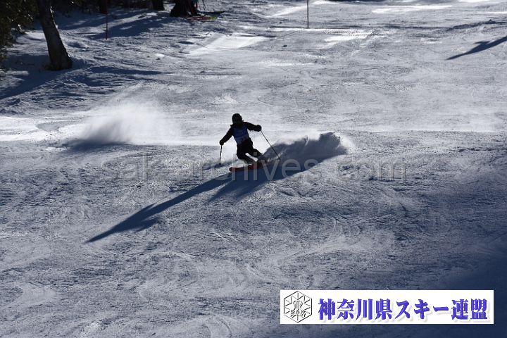 20200126_113101_4.jpg
