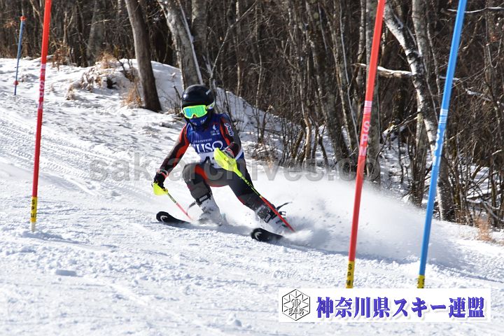 231223_104411_0.jpg