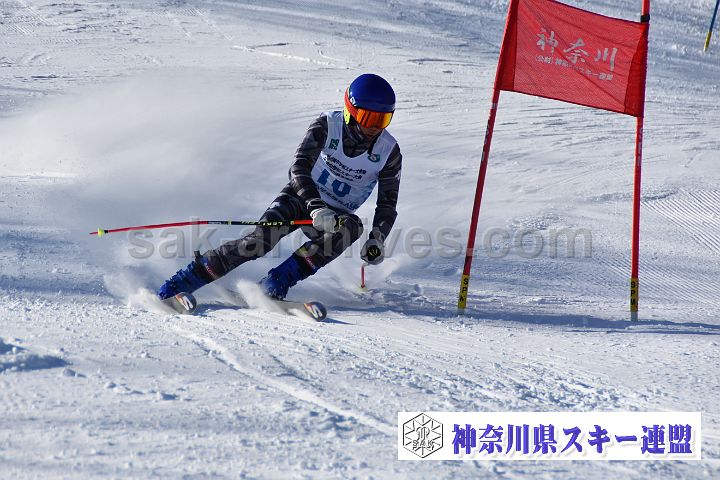231224_094546_0.jpg