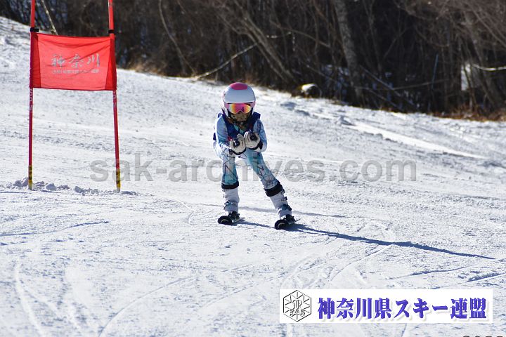 231224_124608_0.jpg