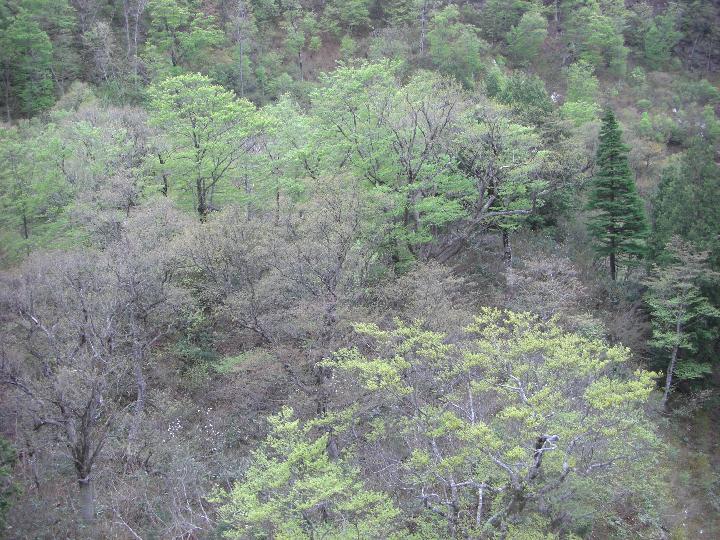 080505_160834_0.jpg