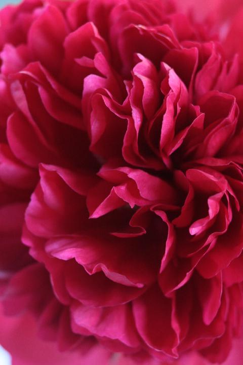 080504_082125_0.jpg