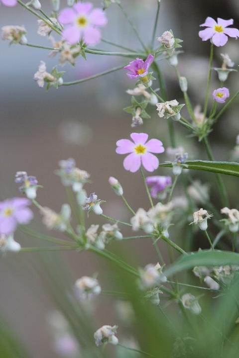 080504_164737_0.jpg