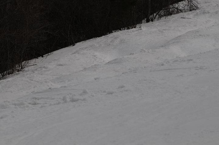 090321_153817_0.jpg