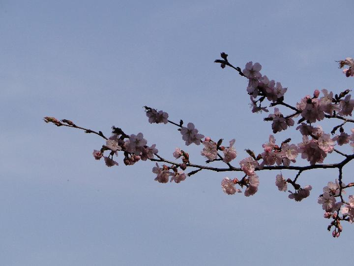 090502_150656_0.jpg