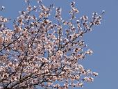090502_161902_0