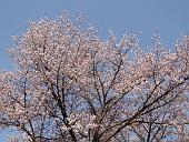090502_161909_0