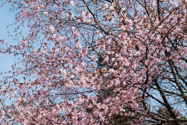 090502_150002_0.jpg