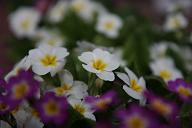 090502_155708_0