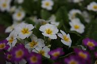 090502_155740_0