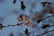 090502_161309_0
