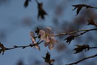 090502_161309_1