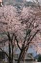 090502_161542_2