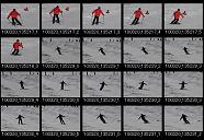 album20p028