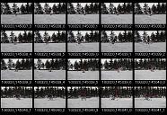 album20p101