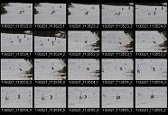 album21a031